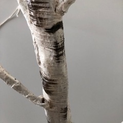 ニトリ　LEDツリー　シラカバウッドの画像