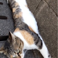 何とぞ、よろしくお願い致します。