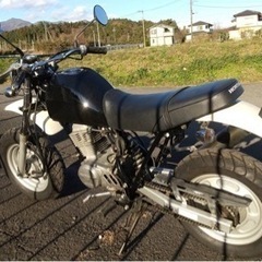 エイプ100の画像