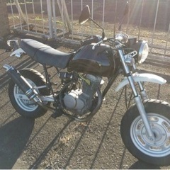 エイプ100の画像