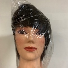 カットウィッグ美容師国家試験用（カット済み）