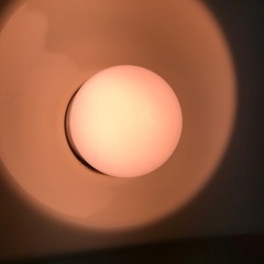 白熱電球セット 12個の画像