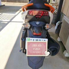 Yamaha Majesty 155ccの画像