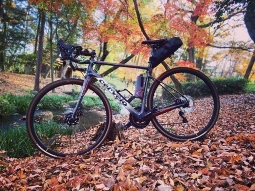 サーヴェロ C3 DISC 56size(MAVICの新品ホイール付き)