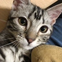 千葉県　東京都　精神疾患、生活保護の人集まれ！
