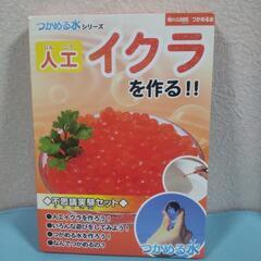 厚木方面🆗此は楽しい❗️親子で楽しんで