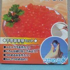 厚木方面🆗此は楽しい❗️親子で楽しんでの画像