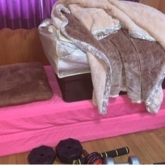 画像の毛布？のみの画像