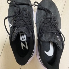 美品ナイキ　エアズームペガサス39 4E レディースの画像