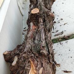 伐採木、一枚板、木工加工設備、溶接機、大工道具などお譲り下さいませ