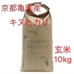 令和5年度　京都亀岡産　新米キヌヒカリ  10kg 玄米　手渡しのみ　