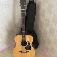 週末価格🎄アコースティックギター🎸スタンド&カバー&チューニング...