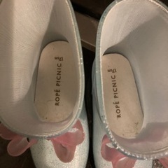 ロペピクニック 17センチの画像