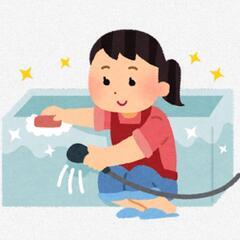 【問い合わせあり、詳細を確認中】水回りの掃除を手伝ってください