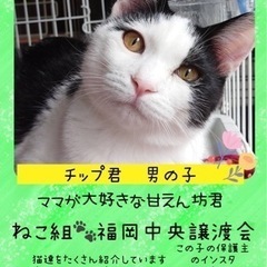 親子丸ごと箱詰めで捨てられていました