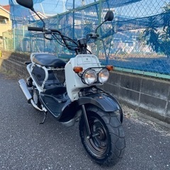 神奈川県のホンダズーマーの中古が安い！激安で譲ります・無料で