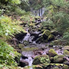【バス徒歩1分！・須雲川に】徒歩圏内で日帰り温泉も楽しめるプライ...