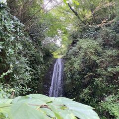【温泉観光地・箱根！】閑静なプライベートキャンプ場で四季折々の景色を味わいませんか？ - 地元のお店