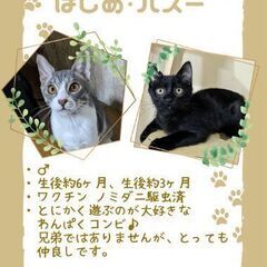 わんぱくコンビ♪