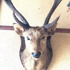 (お取引中)壁掛けオブジェ