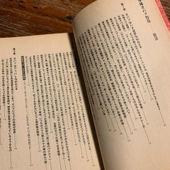 沖縄オバァ列伝の画像