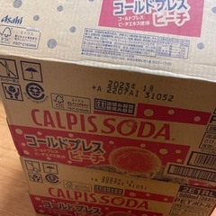 カルピスソーダ　チョコレートその他