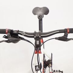 CANNONDALE 「キャノンデール」 HOOLIGAN ALFINE 2011年モデル ミニベロの画像