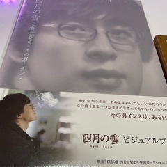 ペヨンジュン　四月の雪未開封　中古DVD