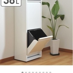 【値下げしました】分別ダストボックスの画像