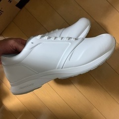 ミズノスニーカー　新品　3000円の画像