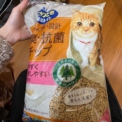 猫砂あんど上から猫トイレプチ(引越しの為早期取引希望)
