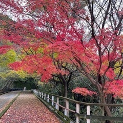 友達募集