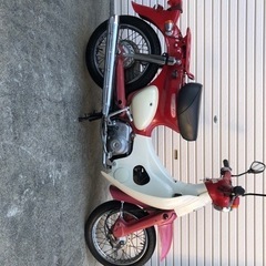 値引き中です　ホンダ　リトルカブ　C50LY 