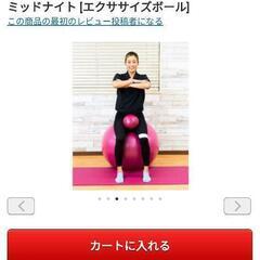 バランスボールの画像