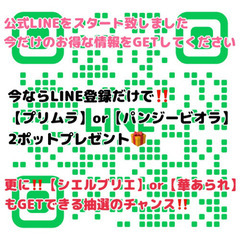【プレゼント企画】LINE登録だけでお花プレゼント‼️