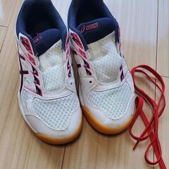 asics　バレーボールシューズ　23cm