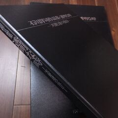 石川洋司写真集　「代引き」発送OKです！　DAVID HAMILTONデビッドハミルトンアラーキー荒木経惟沢渡朔好きにお薦め！の画像