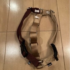 イージーウォークハーネス正規品　サイズMの画像