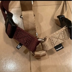 イージーウォークハーネス正規品　サイズMの画像