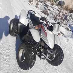 公道OK ミニカー登録 ATV デザートキャット50