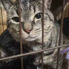 家族にして下さい