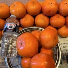 本巣産  富有柿  大玉!!  8個 とっても甘い❤︎.*の画像