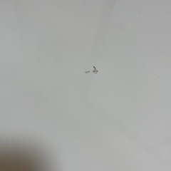 ニトリ ガラステーブルの画像