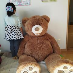 特大　コストコ　クマのぬいぐるみ