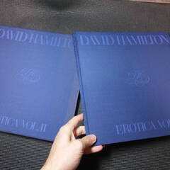 デビッドハミルトン写真集その１！DAVID HAMILTON！日本芸術出版社！アートマンクラブ！　アラーキー荒木経惟沢渡朔好きにお薦め！の画像