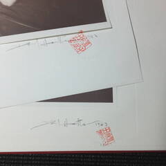 デビッドハミルトン写真集その２！DAVID HAMILTON！日本芸術出版社！アートマンクラブ！　アラーキー荒木経惟沢渡朔好きにお薦め！の画像
