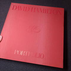 デビッドハミルトン写真集その２！DAVID HAMILTON！日本芸術出版社！アートマンクラブ！　アラーキー荒木経惟沢渡朔好きにお薦め！の画像