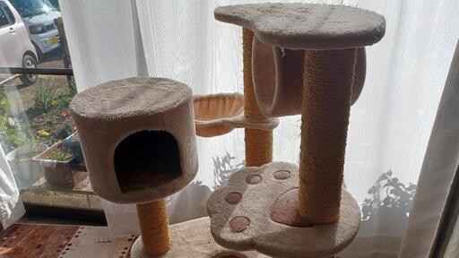 中古キャットタワー