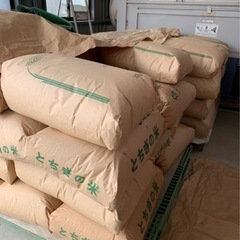 栃木県産　コシヒカリ中米　下野市より　大口取引で割引いたします。