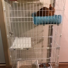 スリム猫ケージ 2段 ホワイト PSCC-752 アイリスオーヤマの画像